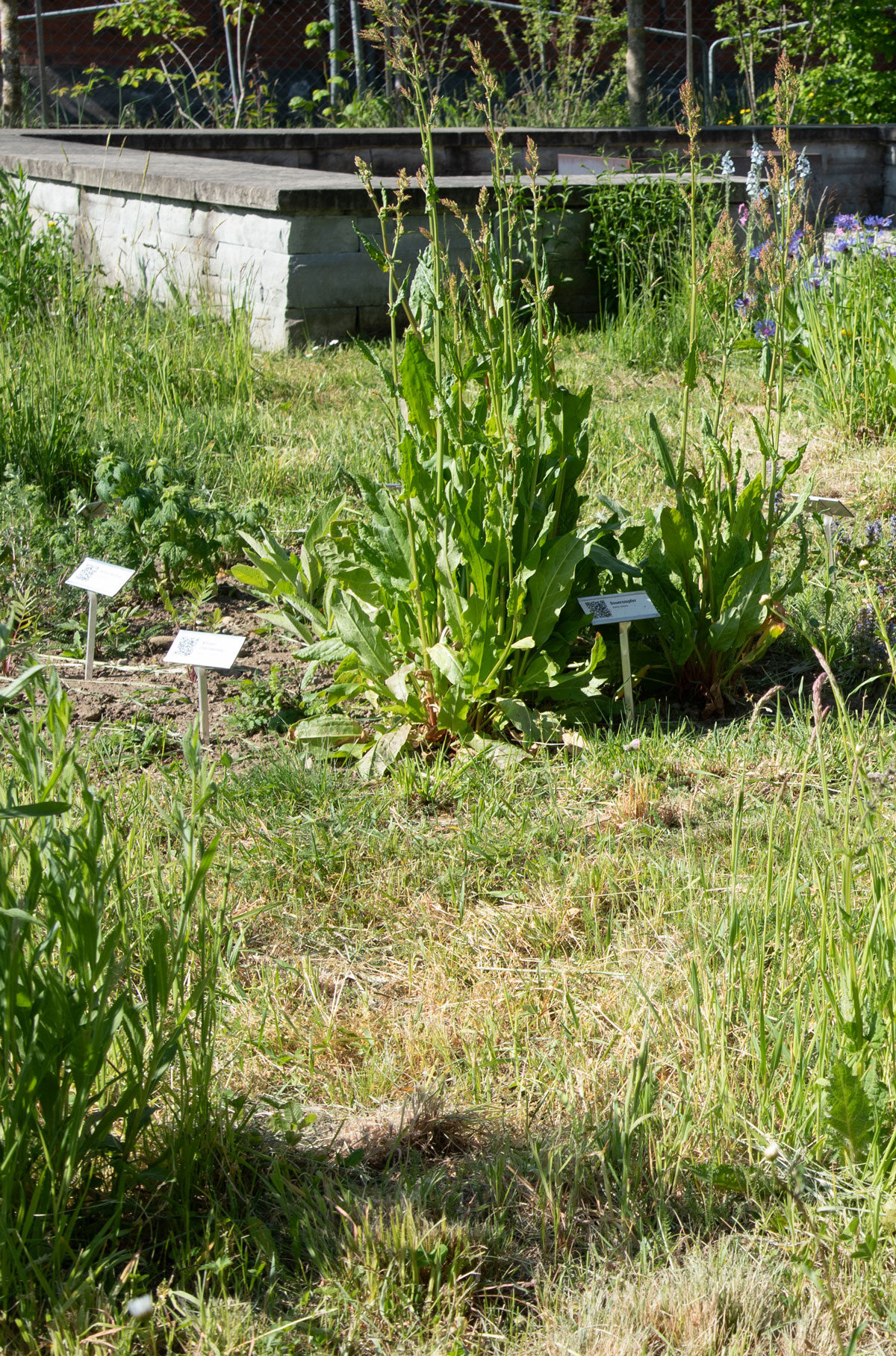 Einweihung Lerngarten Biodiversität